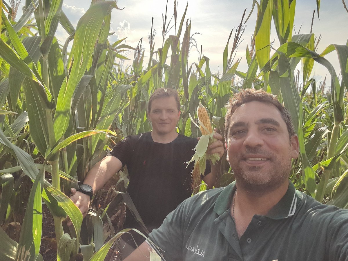 Mariano Martinez tweet media