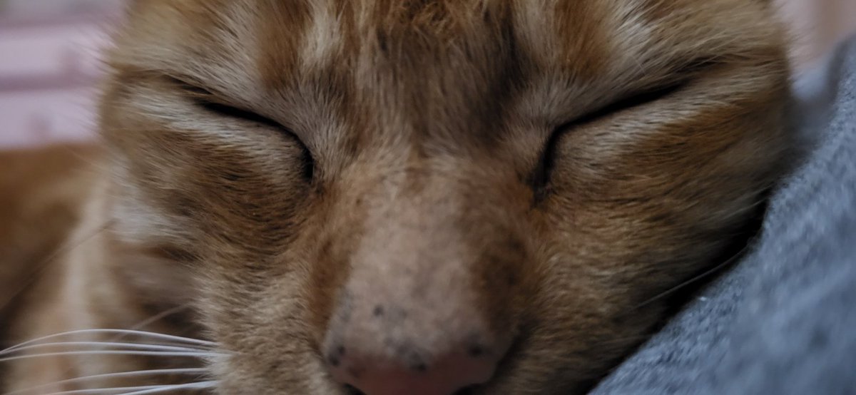 su furia no puede ser contenida ni aunque esté durmiendo...