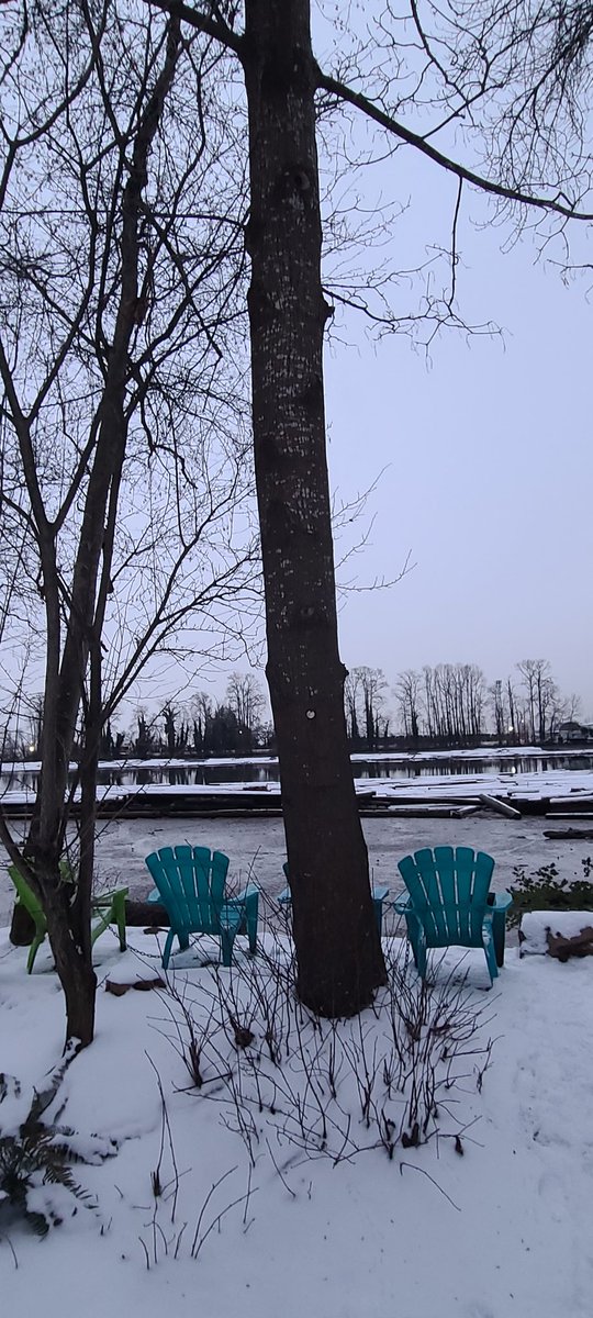 howyougo's tweet photo. Wednesday sunset and its snowing!
#sunset #February #Wednesday #BCStormWatch #winter #snow #StormHour #itssnowingagain #westcoastwednesday #Bbrr #fraserriver #Vancouver #Westcoast #ShareYourWeather https://t.co/JYj9VS1ORo