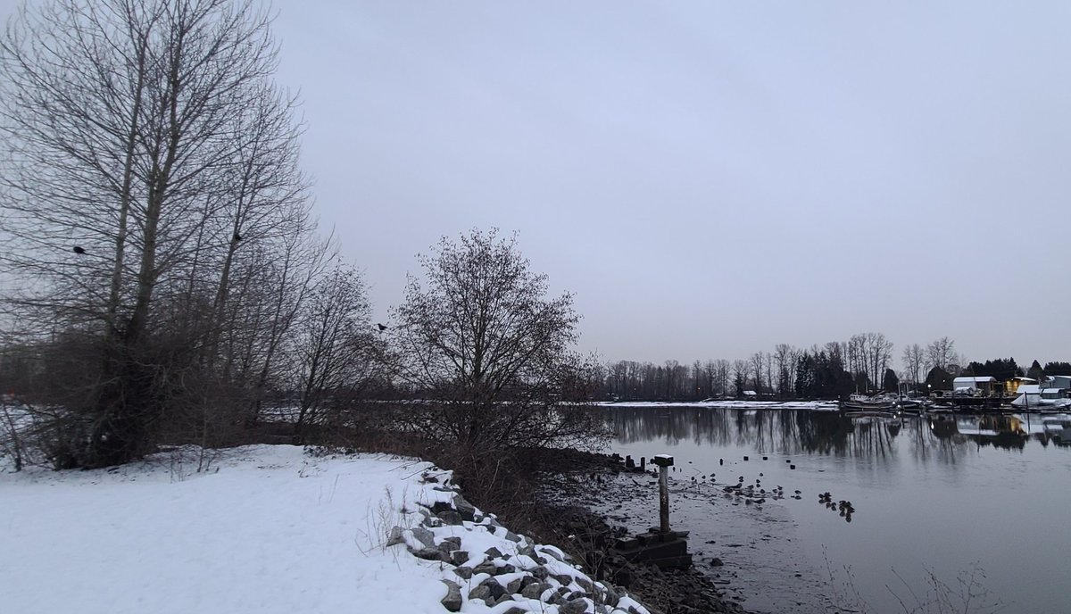 howyougo's tweet photo. Wednesday sunset and its snowing!
#sunset #February #Wednesday #BCStormWatch #winter #snow #StormHour #itssnowingagain #westcoastwednesday #Bbrr #fraserriver #Vancouver #Westcoast #ShareYourWeather https://t.co/JYj9VS1ORo