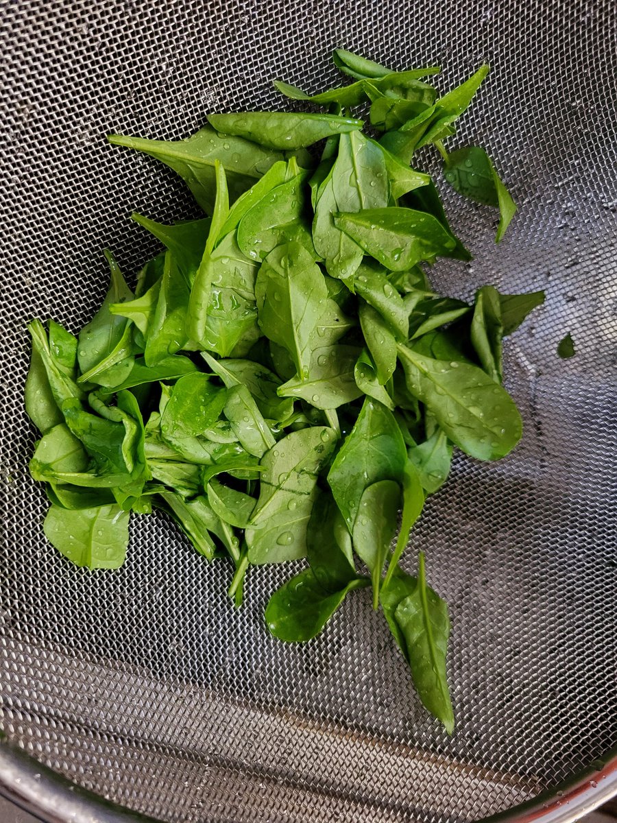 missartola's tweet image. गमला खेती....
#spinach