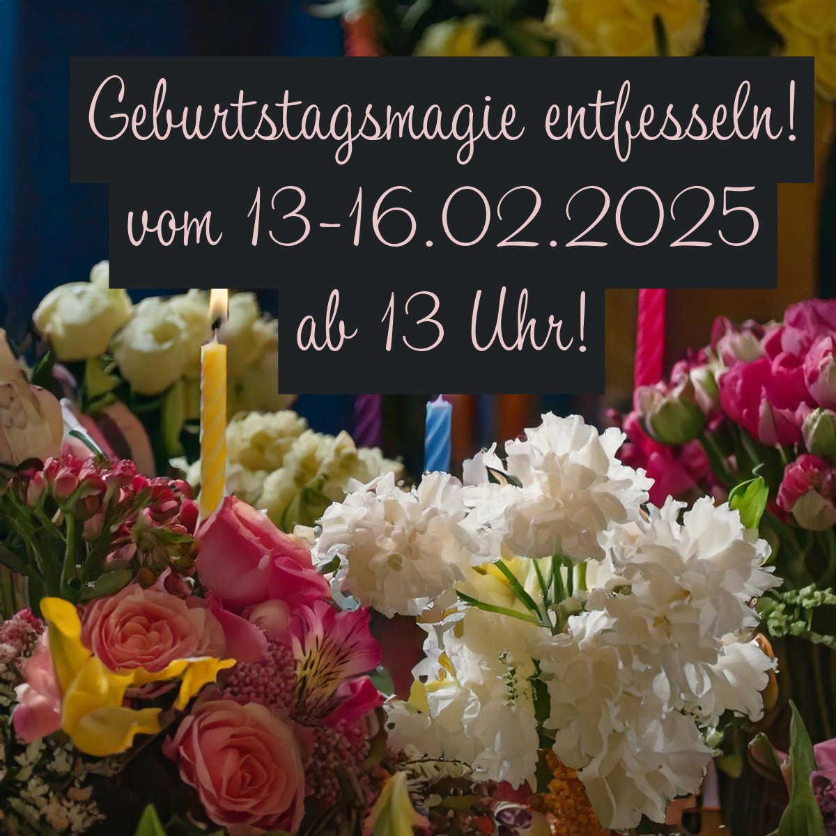 DeutscherRitterPlatz (@mgcdrp) on Twitter photo 