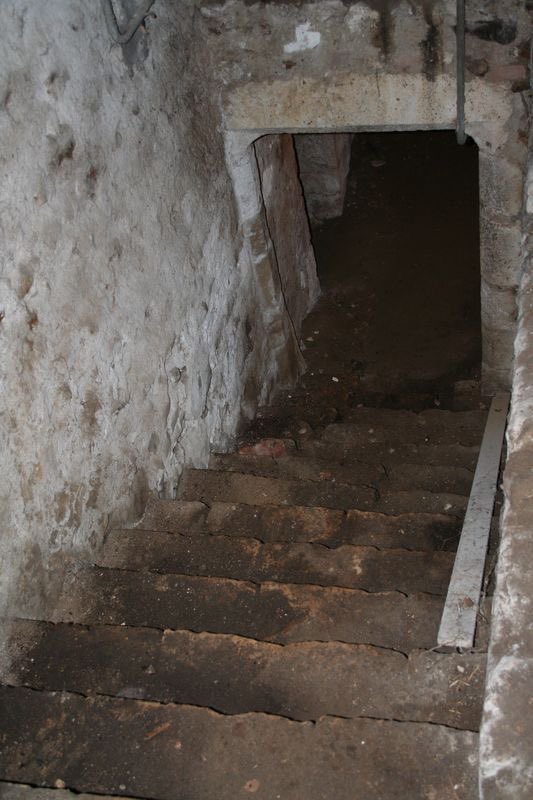 fity.eth tweet media