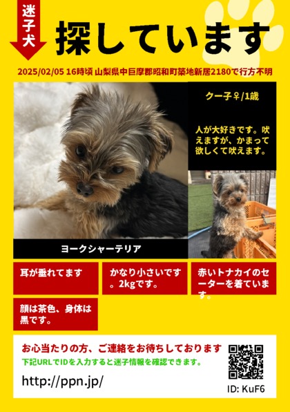 MaigopetSupport's tweet photo. #捜索 #拡散希望  #迷子犬 #迷い�� #山梨  迷子ペットを探しています。どんな些細な情報でもお待ちしております。人が大好きです。吠えますが、かまって欲しくて吠えます。 https://t.co/DXmsELUjYh https://t.co/q9ptPwdUbk