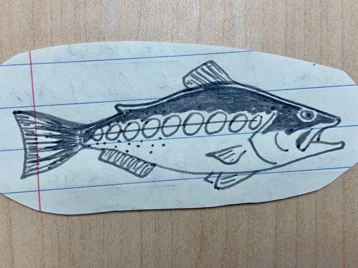 calfishingOG's tweet photo. Daily doodle 2/5/25 https://t.co/oDeoSiShHG