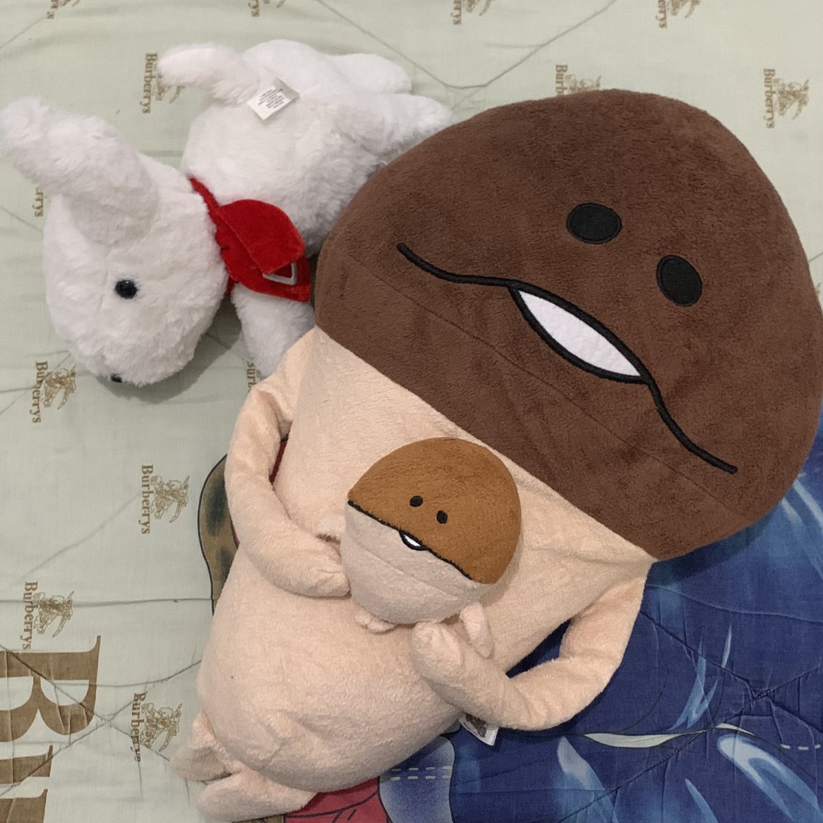 ️️Ruel‎ ׂ 𓈒 ♪ tweet media