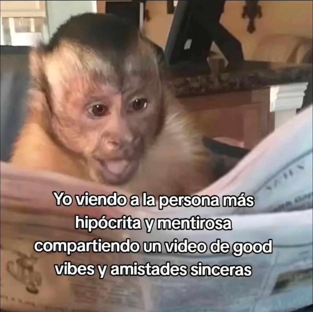 nxstypxet's tweet image. 