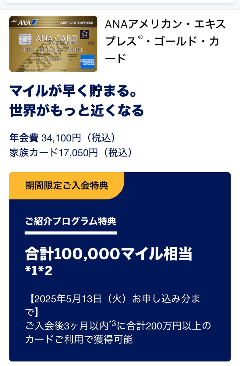 Ana amex コイン (98) 사진