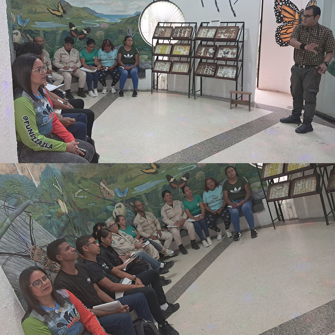 museosdevzla's tweet image. Hablando sobre los camélidos y conociendo a nuestra fauna silvestre a través de la lengua de señas venezolana en el insectario del Parque Zoológico El Pinar [instagram.com/p/DFn-OtYhV_X/]