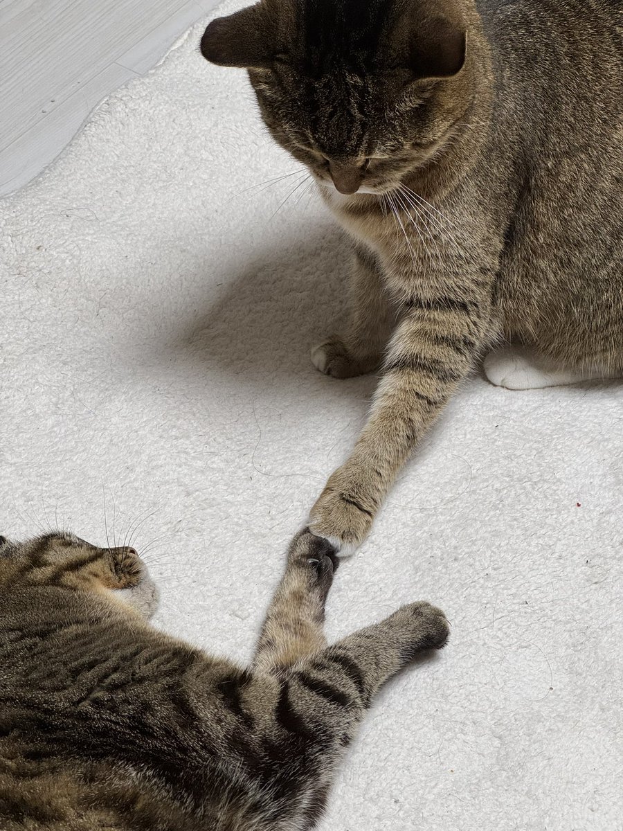 천지창조여 뭐여