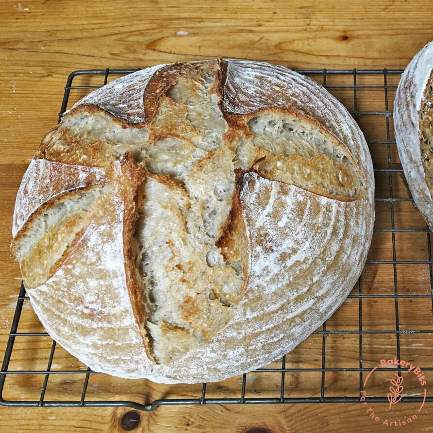 BakeryBits's tweet photo. Two beautiful bakes by Mike! A customer who used his Netherton Foundry Spun Iron Cloche. 
We love seeing what you are baking! 

#homemade #bakingathome #bakerybits #sourdough #beautifulbakes #showusyourbakes https://t.co/sInKQfoG2n