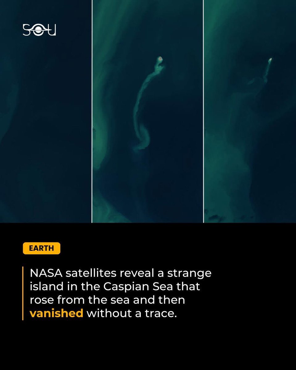 Curiosity Hub (@Curiosityhuboff) / Posts / X