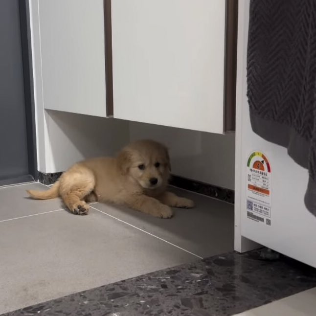 ไม่ได้งอน แค่เสียใจ ก้เค้ามันเก่าหนิ • ·̭ •̥