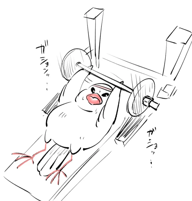 飛ぶのに胸筋は必要だからな 