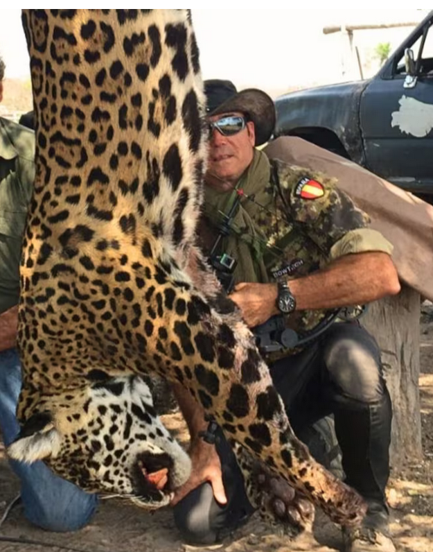 El gobierno Boliviano busca al empresario español, Luis Villalba Ruiz, por ser parte de una red de caza ilegal de jaguares.
También aparecen en las fotos con los cuerpos: Eduardo Romero Nieto, médico dueño del Museo de Fauna Salvaje (León) y el odontólogo Diego Romero Ferragut.