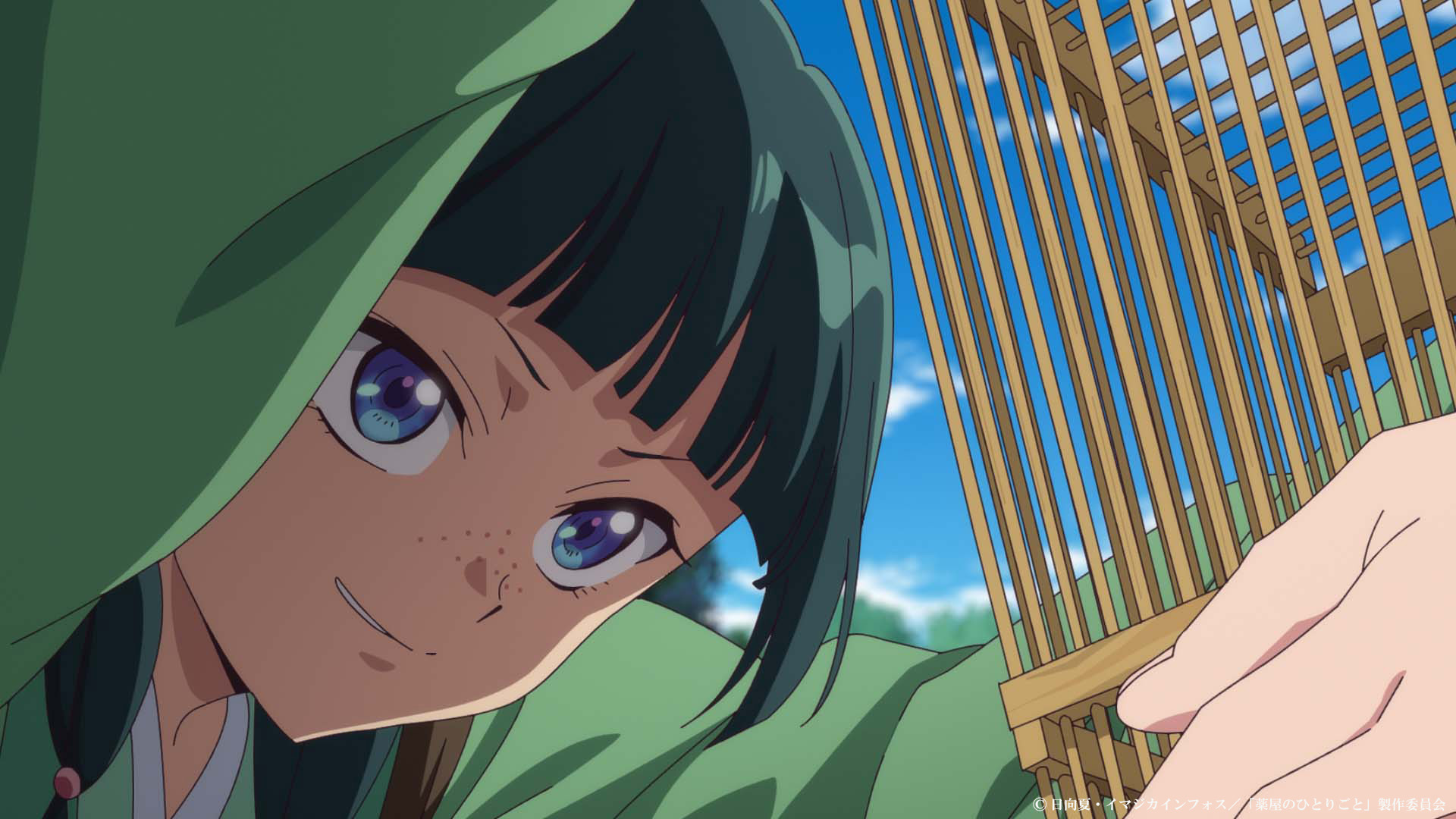 まみのすけ🐛 on X: 
