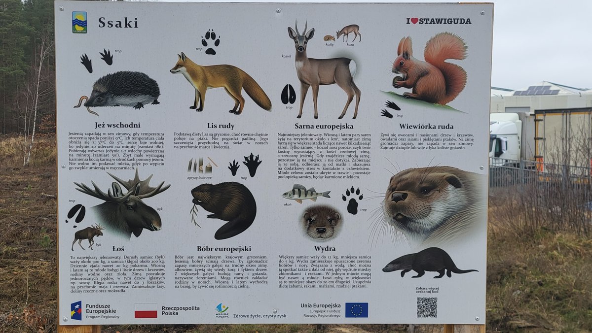 #Stawiguda #tablica #ssaki #warmia
