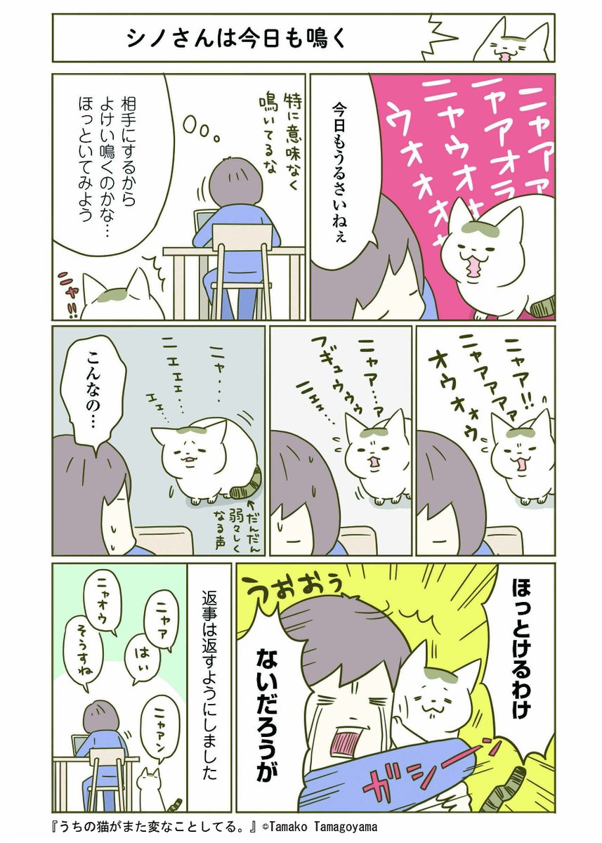 2/3 