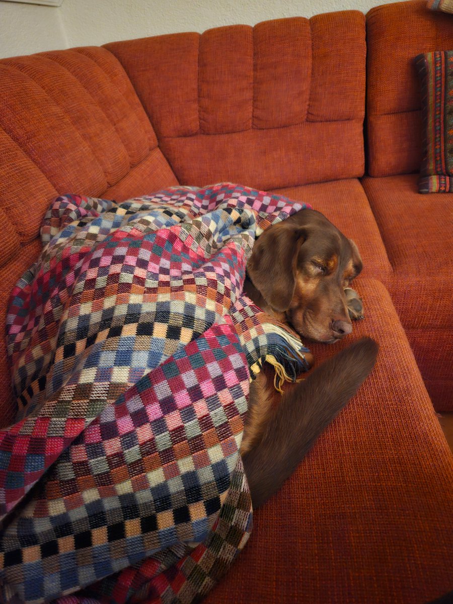 Müde bin ich
Geh zur Ruh 
Schließe meine Äuglein zu.