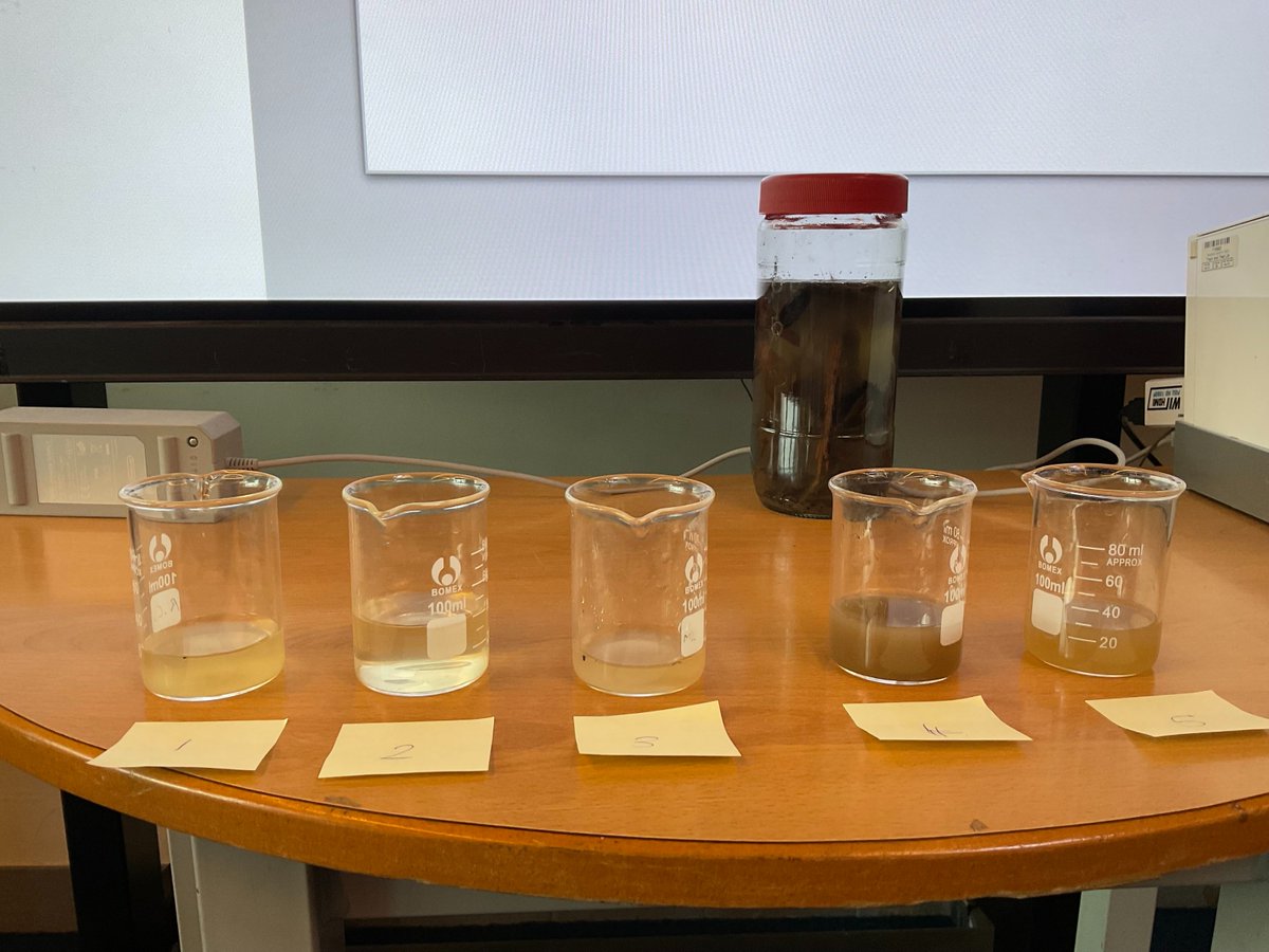 Students in 4MH and 4AU were recently set a 'clean water challenge' in their science lessons. They all had access to the same equipment to produce the cleanest sample of water. We saw lots of fantastic teamwork and problem-solving skills at play. Great job everyone!