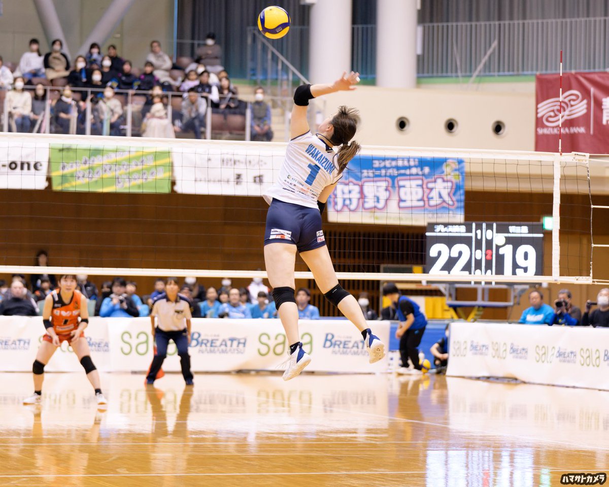 pyorosancamera's tweet photo. 1/19 ブレス浜松ホームゲーム
サーラグリーンアリーナ
若泉佳穂選手📸

#ブレス浜松 #女子バレーボール #バレーボール #volleyball #バレーボール部 #若泉佳穂 #中京大学 https://t.co/0dj2ZkSrbG