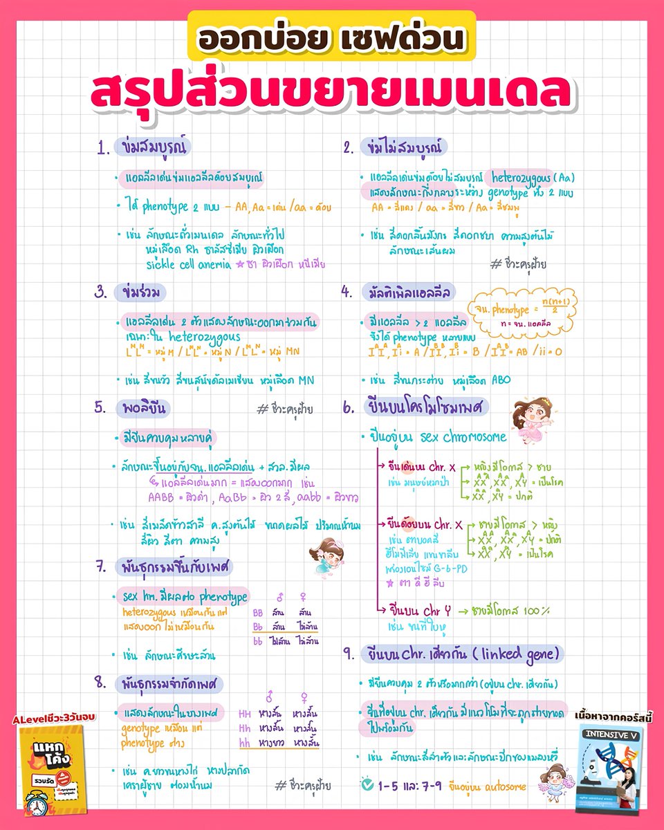 easybioKruFai's tweet photo. 🧬ออกบ่อย เซฟไว้อ่าน
สรุปส่วนขยายเมนเดล

คืนชีพชีวะ 3 วันจบ
🚨https://t.co/NOH6yDweN2

เนื้อหาจากคอร์สนี้
📘https://t.co/Mshsfp8i3u

#ชีวะครูฝ้าย #สรุปชีวะ #dek68 #เด็กซิ่ว #dek69 #dek70 #ALevelชีวะ https://t.co/FvHAbkVJbP