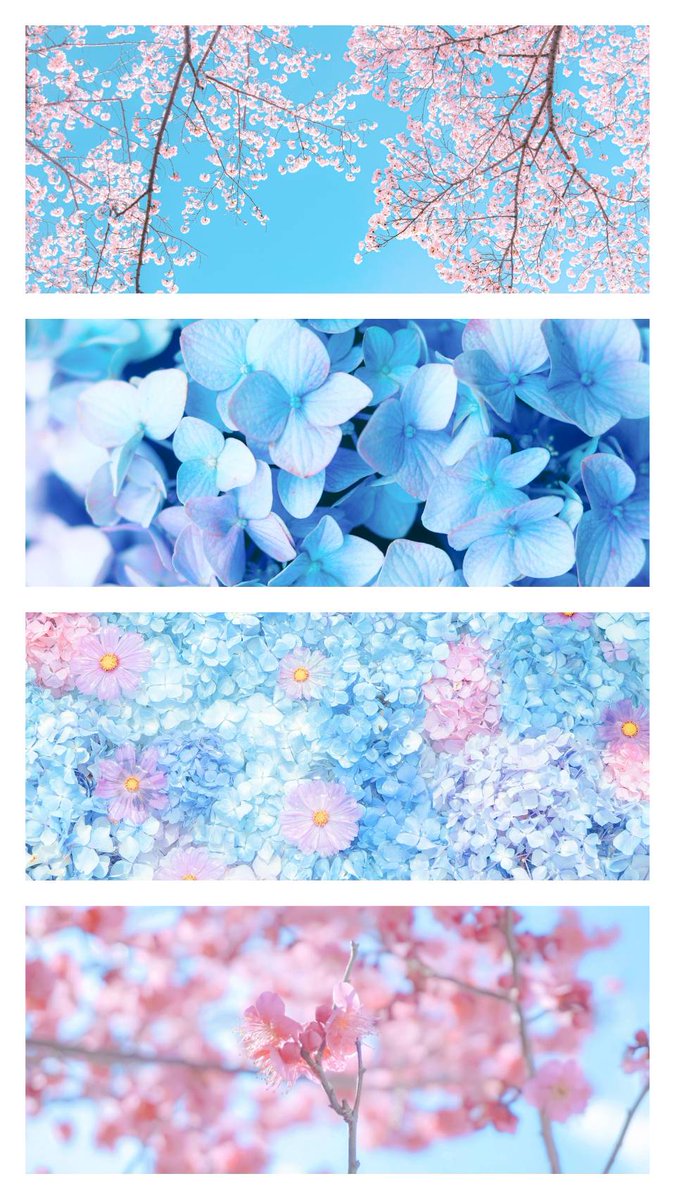 Sorani___Ao's tweet photo. 花心情に恋。 https://t.co/KSFbg6QSZr