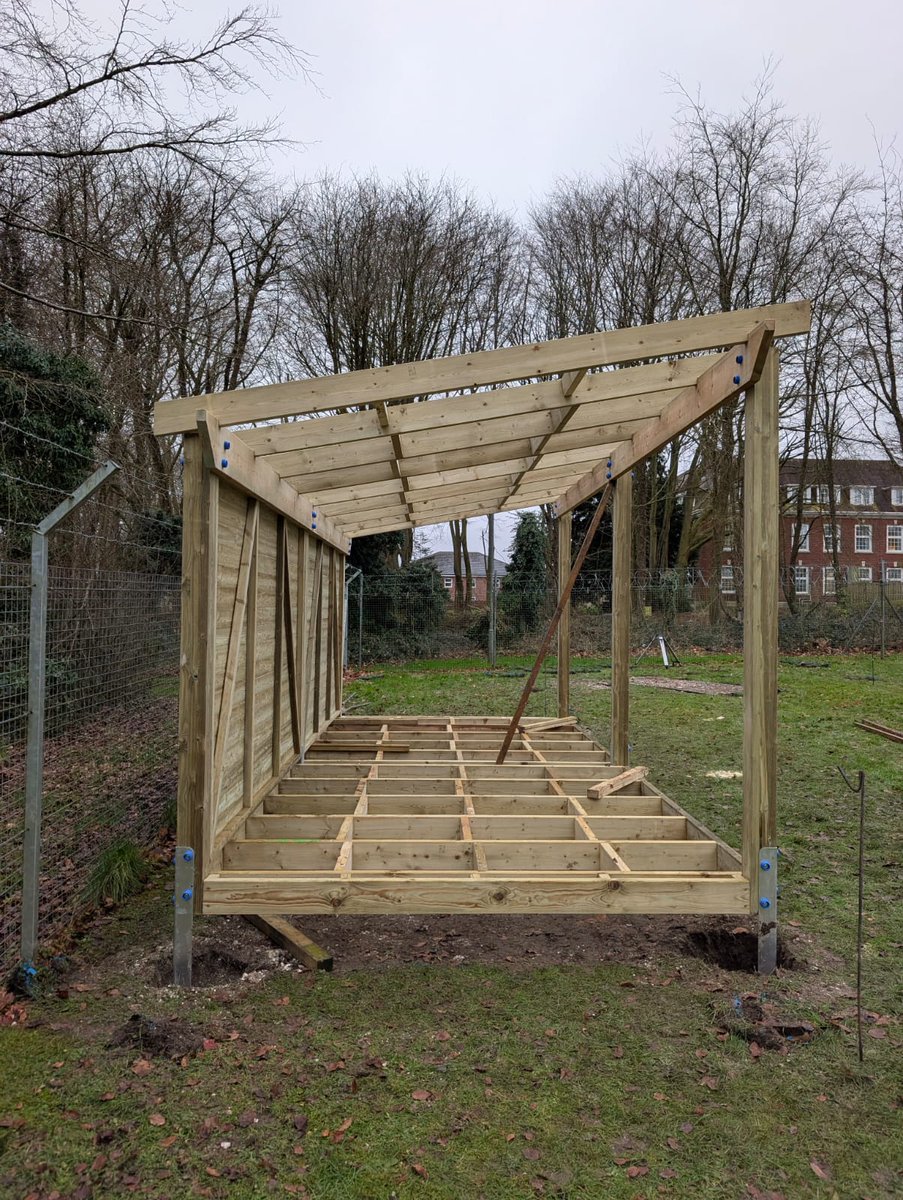 Sawscapes Play Ltd tweet media