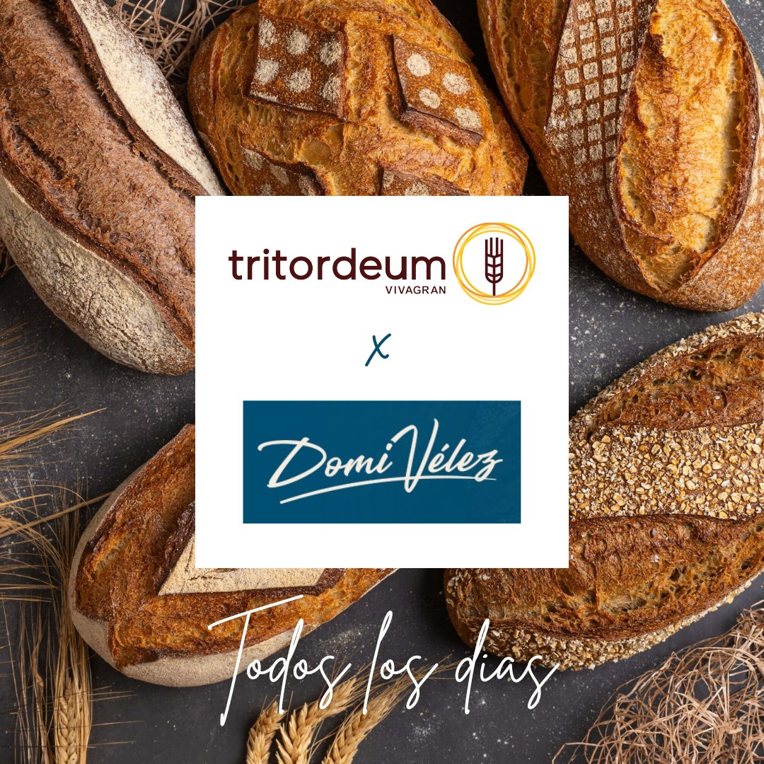 🥖✨ Panes de Tritordeum todos los días en @domivelezbakery 🌾💛

Encuéntralos en:

📍 Lebrija, Sevilla
📌 C/ Suecia, 24
📌 Plaza España, 2

📍 Sevilla
📌 Álvarez Quintero, 10

#DomiVelez #Tritordeum #PanSostenible