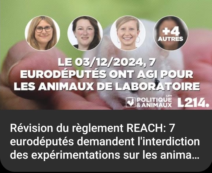 furet_angeline's tweet image. 🚨 **#StopAnimalTesting** 🚨
Avec 7 collègues eurodéputés, nous exigeons l’interdiction des expérimentations animales dans le cadre de la révision du règlement #REACH ! Malgré l’interdiction des tests pour les cosmétiques depuis 2013, des lacunes légales permettent encore ces…