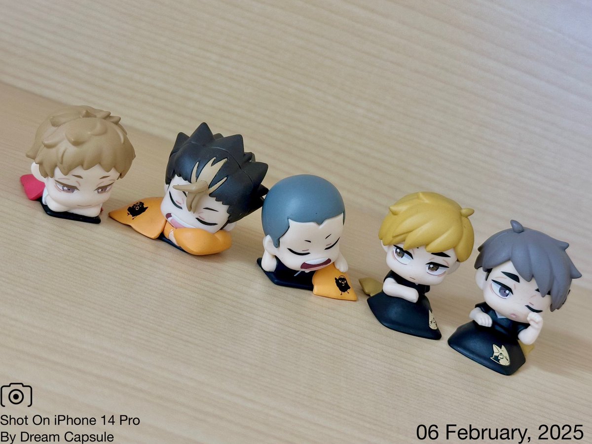 dreamcapsuleCEO's tweet photo. 🌟新入荷ガチャ商品プレゼントCP🌟

大人気シリーズに待望の第3弾が登場🏐
「おねむたん ハイキュー‼︎ vol.3」

フォロー&amp;RP(RT)していただいた方の中から抽選で2名様に全5種セットをプレゼント🎁
ドリカプへの入荷日とキャンペーン詳細は↓

#ドリームカプセル #ガチャ専門店
#ハイキュー https://t.co/FszjFmEUUt