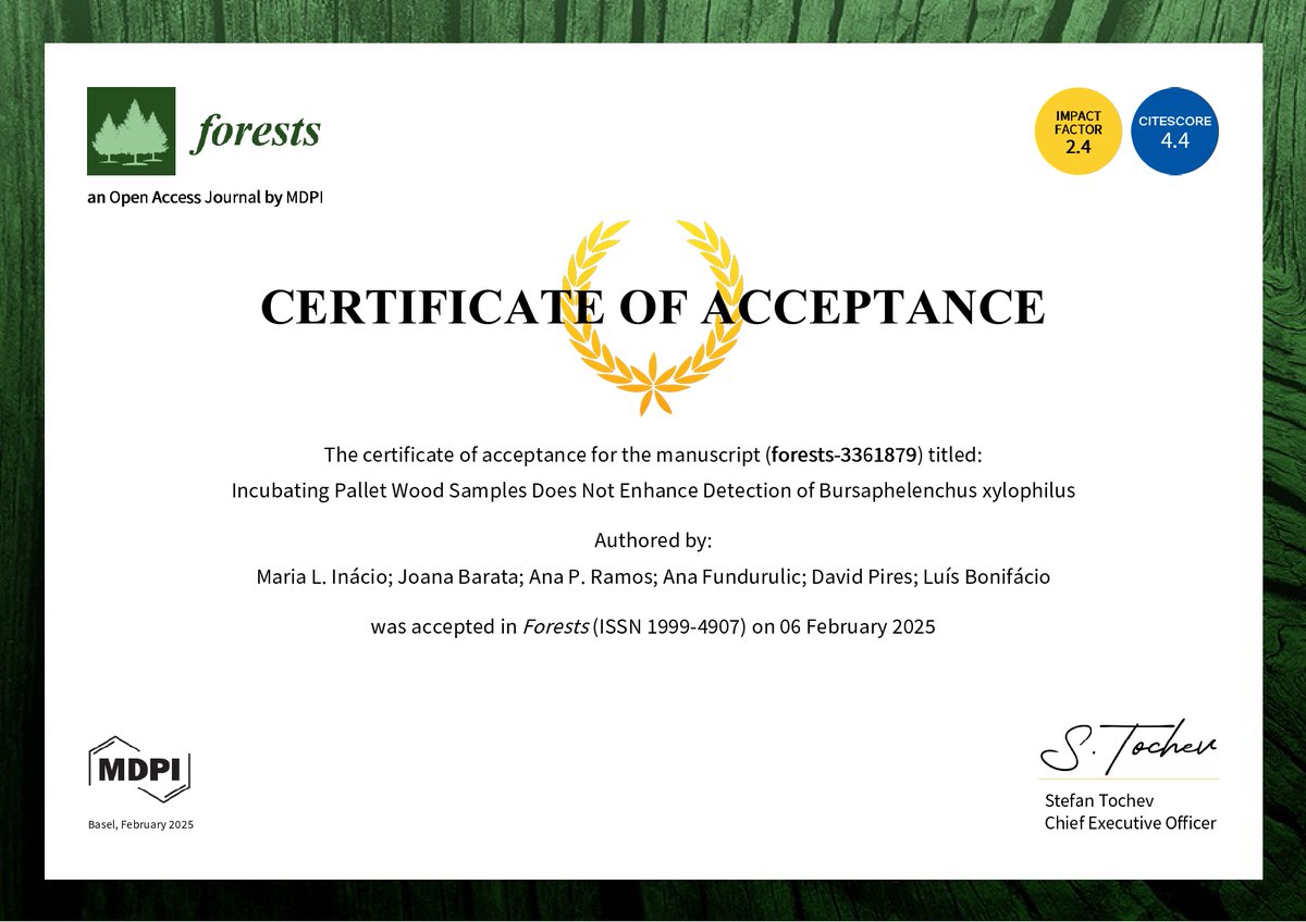 David Pires tweet media