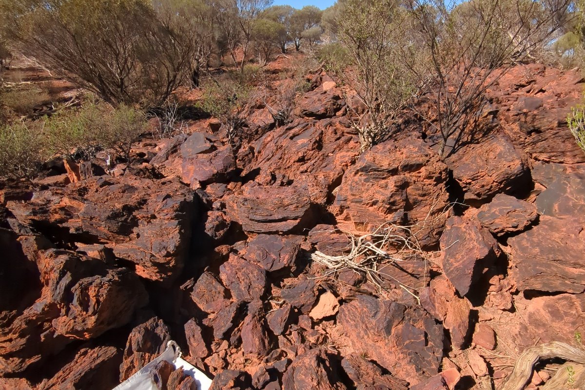 BullsNBearsWA's tweet photo. #ASX-listed @AuruminLtd and potential JV partner #NewcamMinerals have kicked-off drilling for #ironore at the Central Sandstone project in WA, after they sealed a deal last year providing Newcam with an option on the iron ore rights.

$AUN #BULLSNBEARSWA

https://t.co/KpVHzBpU1F https://t.co/L6YmYsTmFw