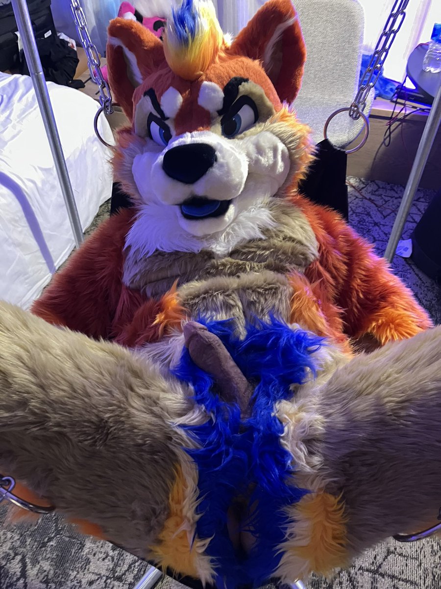 HuskyHole's tweet photo. Ok who’s next? 😈 https://t.co/hTkGPlNwlK
