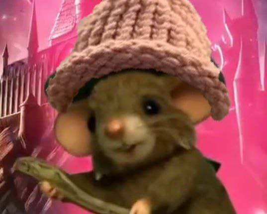 Ratwifhat $HARRY tweet media