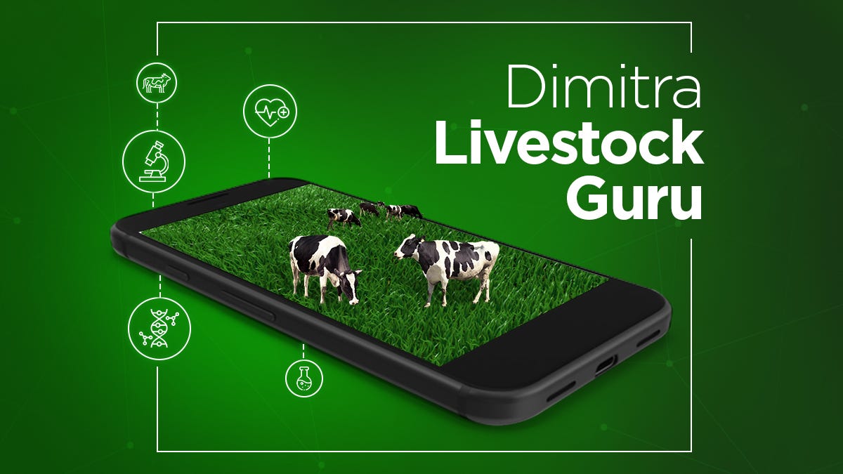 greg_chap's tweet photo. 1/3 Cattle rustling is a significant problem worldwide, threatening the livelihoods of rural farmers. But what if technology could help prevent it? @dimitratech's innovative platform uses blockchain, AI, and IoT to track livestock & prevent theft. #cattlerustling $DMTR https://t.co/Y1uHQmuWYt