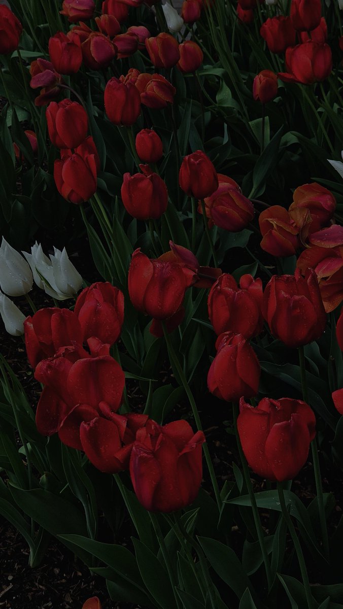 dma3rd's tweet image. 