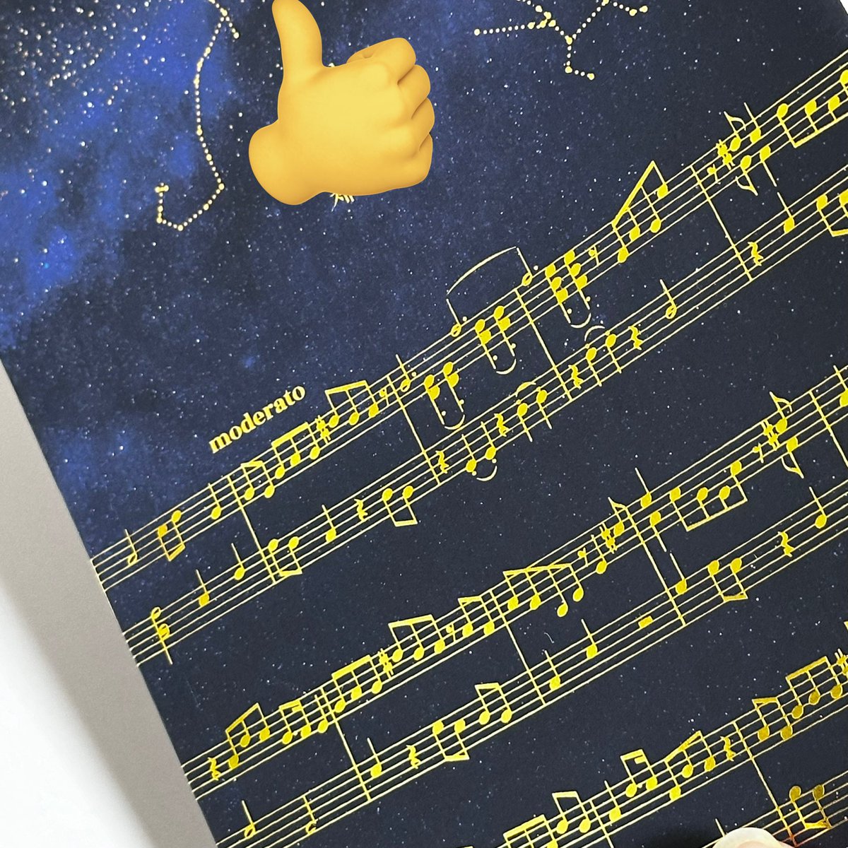 혜성기획…… 정말 잘합니다…❣️최고
제가 친구들에게 인쇄소 추천할 때마다 보여주는 표지박이 그 증거입니다
악보 별자리 제목까지 전부 금박.
(표지디자인은 코마 @ d_asteroid 님)

주문체크도 꼼꼼히 해주시고 파본대비수량도 챙겨주심… 근데 파본이 0권이라 그냥 더받은사람 돼요….b