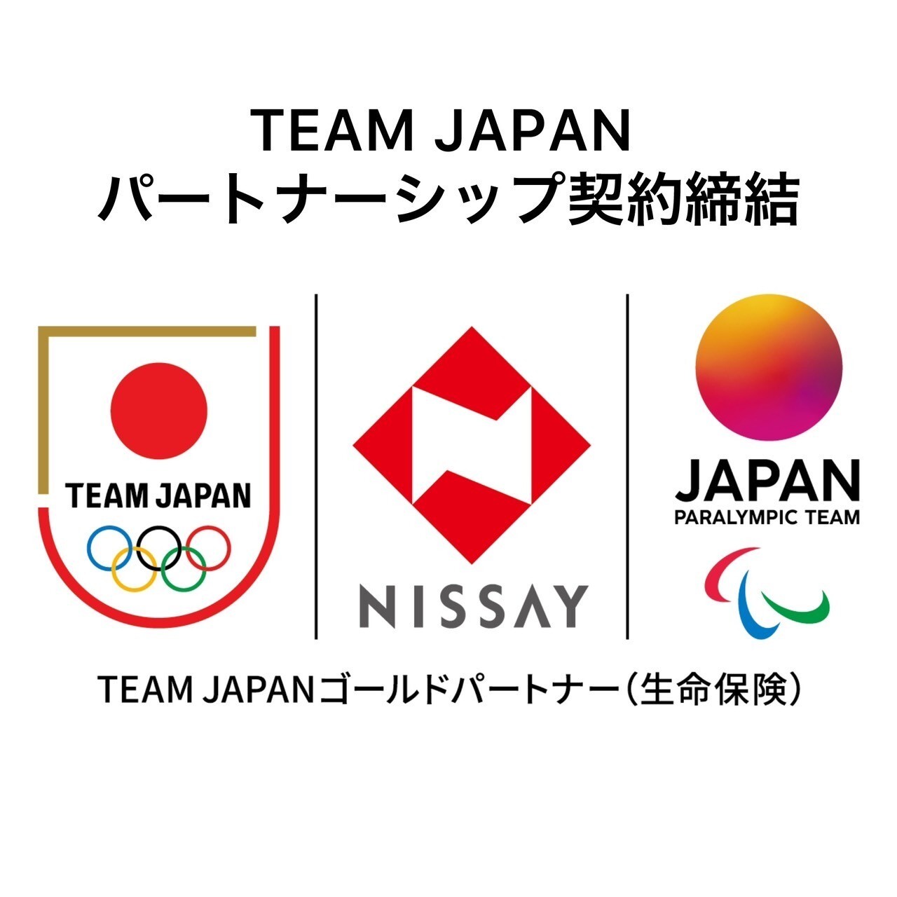 協働的パ-トナ-シップによるケア 援助関係におけるバランス  /エルゼビア・ジャパン/ロ-リィ・Ｎ．ゴットリ-ブ（単行本（ソフトカバー）） 中古】 協働的パートナーシップによるケア 援助関係における