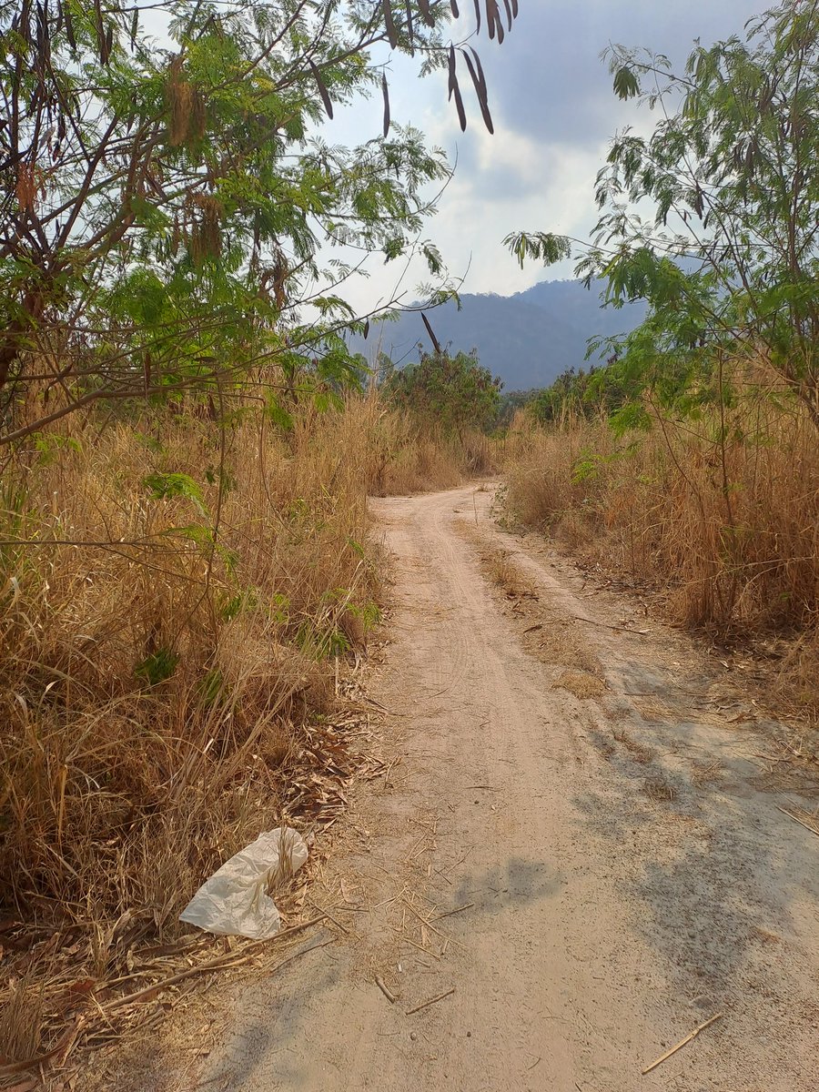 สถานที่มากมาย แต่ไม่มีเวลาได้ออกไปใช้สถานที่ เดี่ยวรอคุณแฟนว่างก่อนเถอะ ต้องไปให้คุ้ม