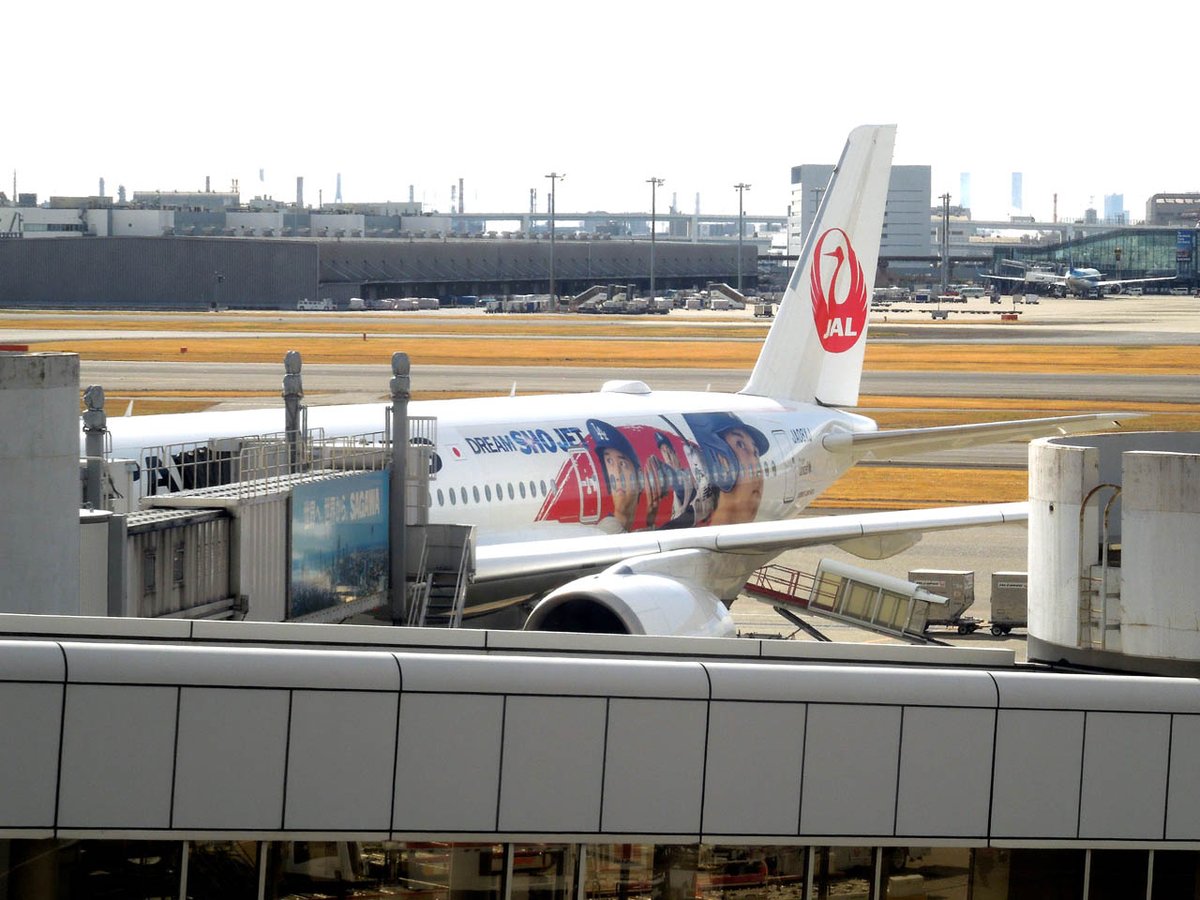 bcs758's tweet image. JAL 大谷翔平ジェット「DREAM SHO JET」に乗れたぁぁぁぁ!
狙ったわけではなくて偶然です。
あとは JAL MLB 東京シリーズ 搭乗キャンペーンに当選すれば言う事ないんだけどなぁ (笑)
#JAL #日本航空 #大谷翔平