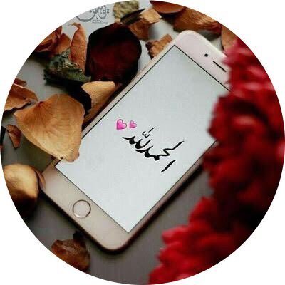 I'm thankful for the knowledge shared in our exchange. Your content exchange is a fantastic initiative. Thank you! Soledad Bruckner