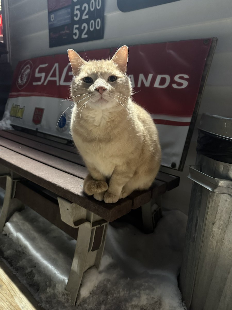f4urs's tweet photo. this guy taxed me $5 as this corner store was his spot https://t.co/3xjFgDpmFB