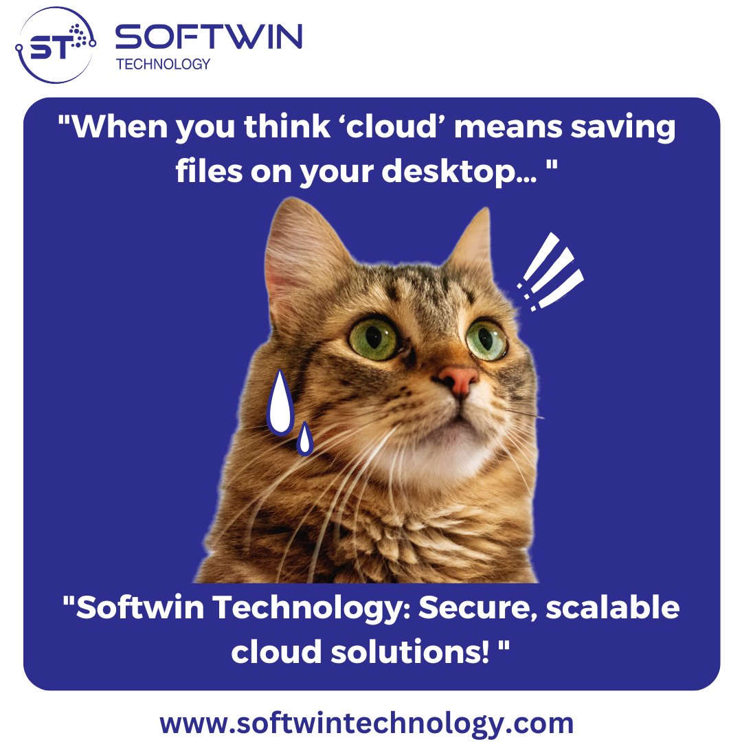 Softwin Technology tweet media