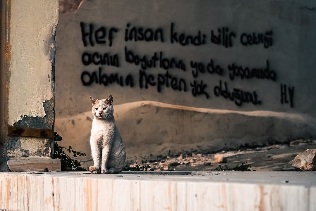 hakim_komite's tweet photo. Proteo’yu, enkazda 97 saat elinde koruduğu ve tutunduğu muhabbet kuşuyla Berat’ı, ailesine siper olan Dora’yı, gebeyken ölen Bircan’ı, rant sevdanızla insanlara ve hayvanlara yaşattığınız acıyı unutmadık. #6Şubat2023

Fotoğraf: @kazimkizil https://t.co/OUQLmgBYUM