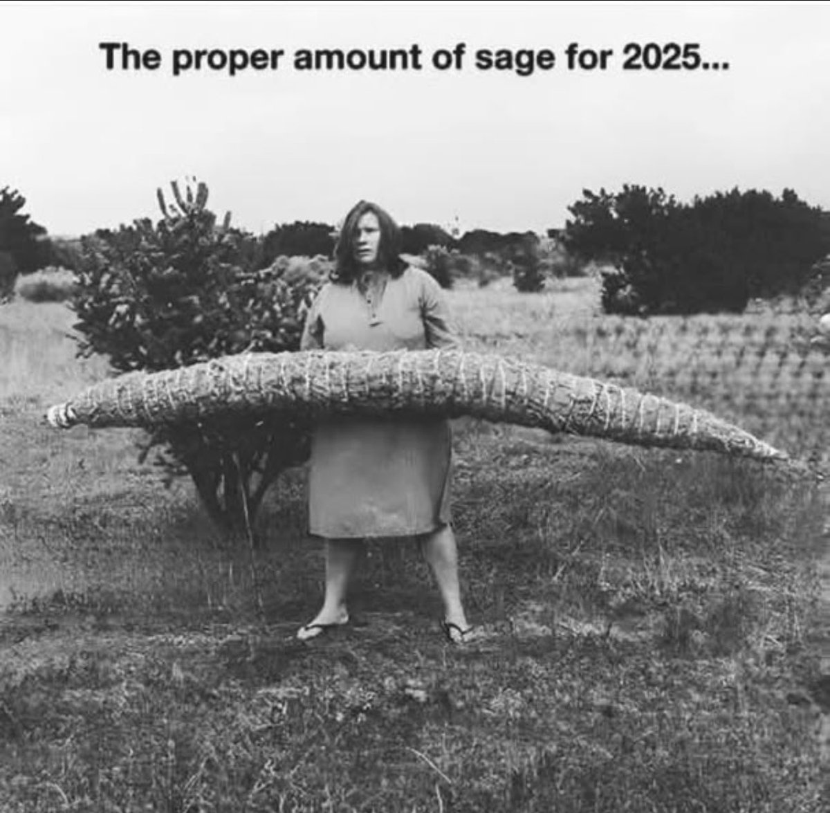 TaMaraPhoto3's tweet image. In the UK 🇬🇧