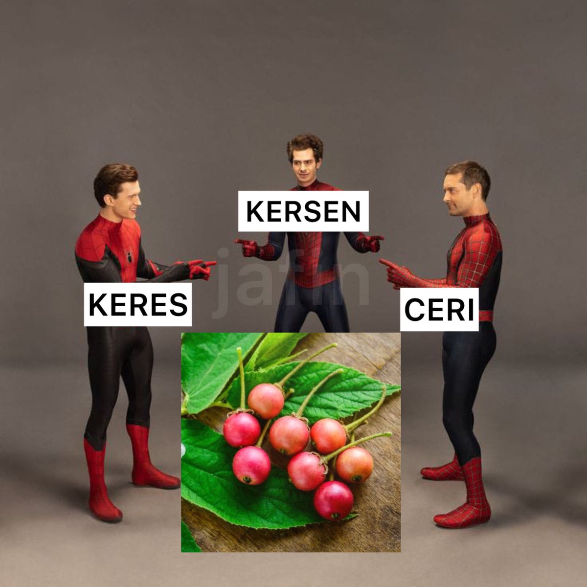 Carel tweet media
