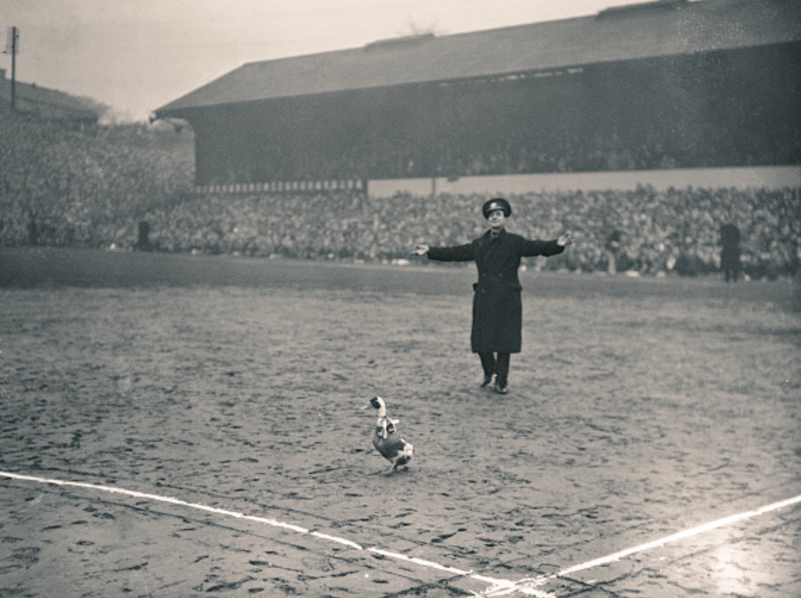 Football Memories tweet media