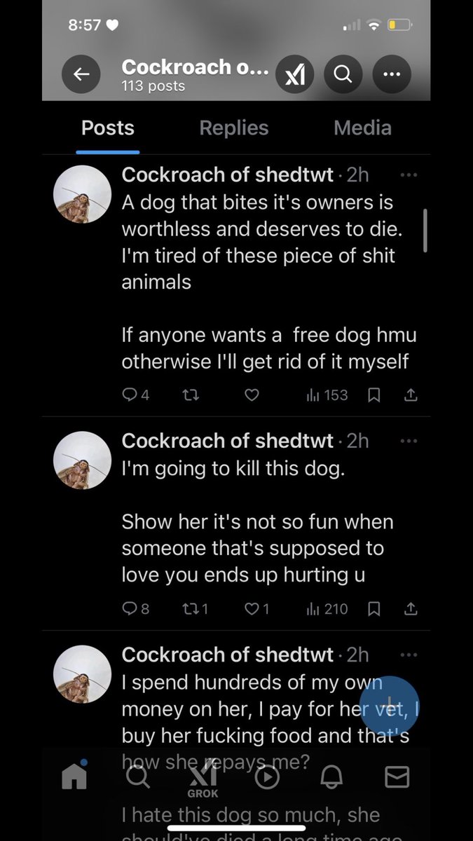Aizawa of Shedtwt tweet media