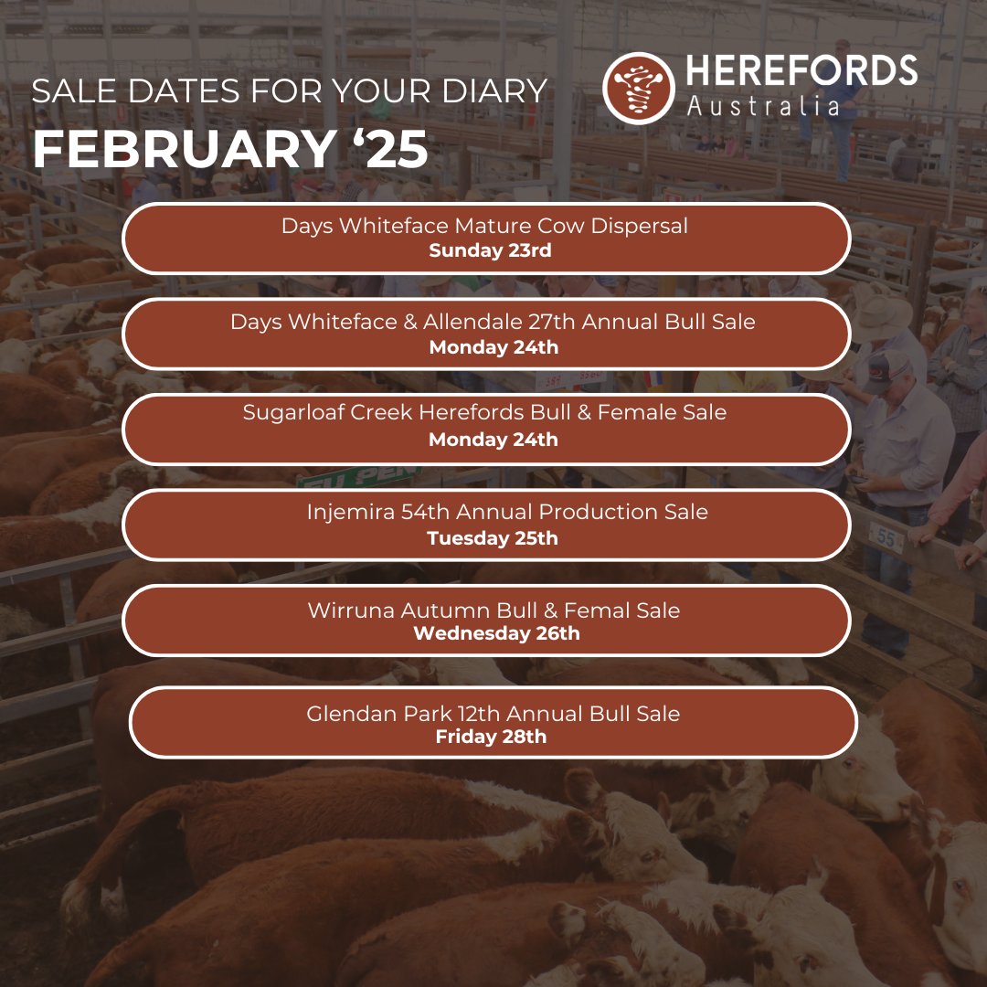 🚨 Upcoming Hereford Sales – February 2025! 🚨
Looking for top-quality Hereford genetics? February is packed with sale opportunities across the country! Don’t miss your chance to secure elite bloodlines for your herd.